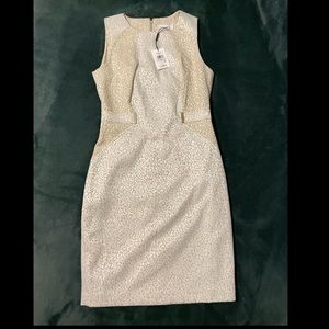 Calvin Klein size 6 cream leopard print dress. New with tags!